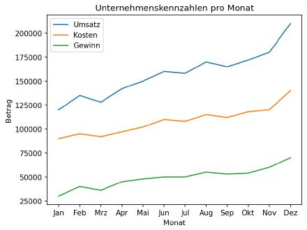 Analyse von Unternehmenskennzahlen aus CSV [Inhalt]